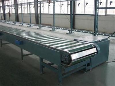 不銹鋼鏈板性能價格_不銹鋼鏈板,不銹鋼鏈板性能,轉(zhuǎn)彎不銹鋼鏈板,寧津華運輸送_寧津縣華運輸送設備配件廠