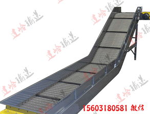 輸送機生產(chǎn)廠家供應(yīng) 機械配件生產(chǎn)鏈板輸送機 移動式鏈板輸送機價格